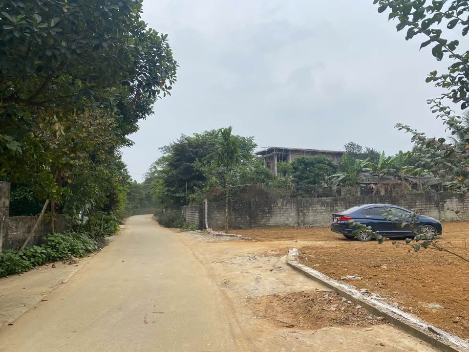 Đất Vân Hòa, Ba Vì 1.650m² giá chỉ 5,5 triệu/m² - Cơ hội đầu tư hiếm có!