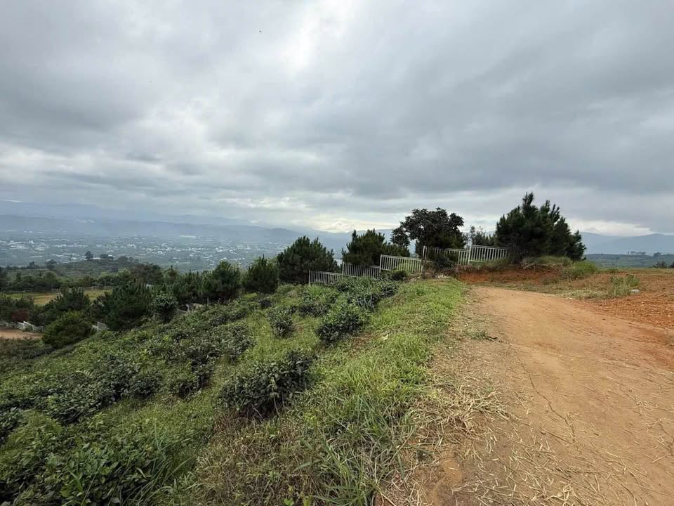 Đất nền Lộc Thành 500m² giá chỉ 600 triệu - Tiềm năng homestay tuyệt vời!