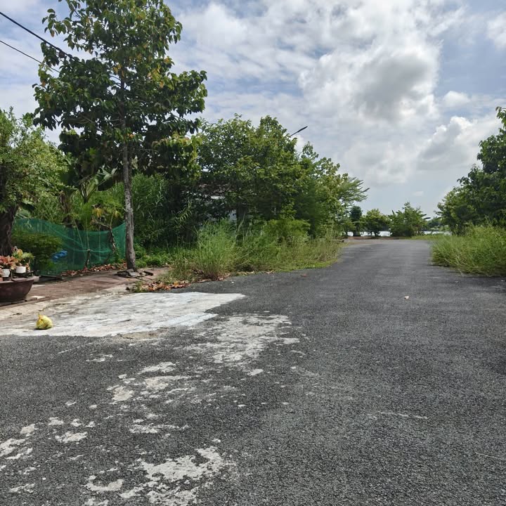 4 Nền Đất Liền Kề Tại Khu Dân Cư Tân Xuyên, Cà Mau - Giá Chỉ 920 Triệu!