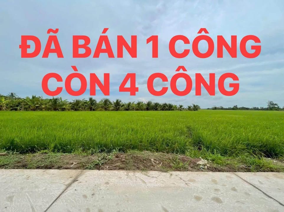 Đất mặt tiền Đường Lộ Đà Lạt, 16,000m² giá 1.8 tỷ - Cơ hội đầu tư tuyệt vời!