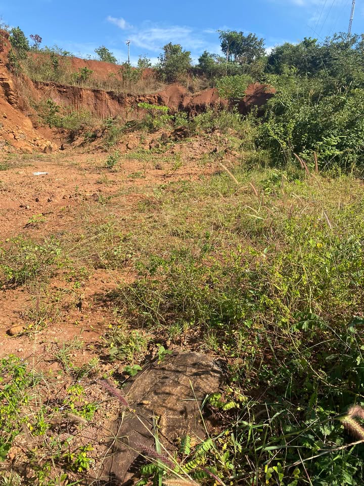 Đất nền Quốc lộ 19, xã Ia Din, 156m² giá 750 triệu - Sổ hồng chính chủ