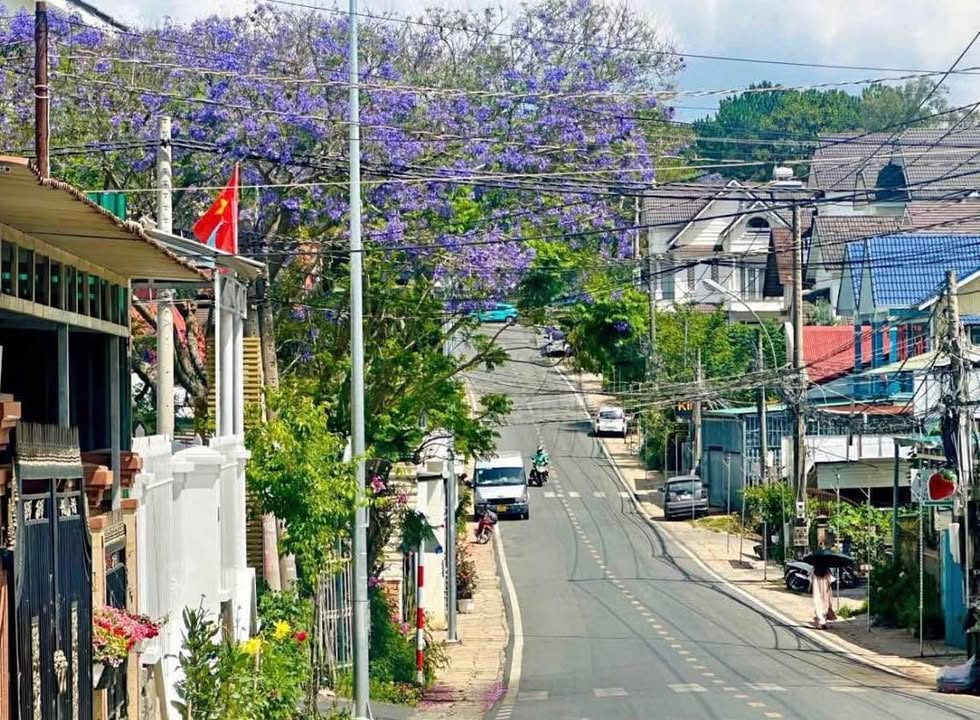 Đất 2 mặt tiền Ngô Tất Tố, Đà Lạt 300m² giá 17 tỷ - Đầu tư sinh lời ngay!