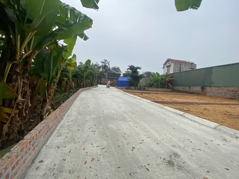 Đất nền Phú Cát Quốc Oai 100m² giá chỉ 2.15 tỷ - Đầu tư sinh lời cao!