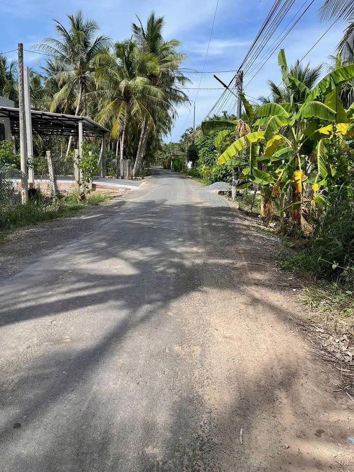 Đất mặt tiền huyện lộ 26, Bình Khánh, Mỏ Cày Nam - 645m² giá 1.5 tỷ - Cơ hội đầu tư hấp dẫn!