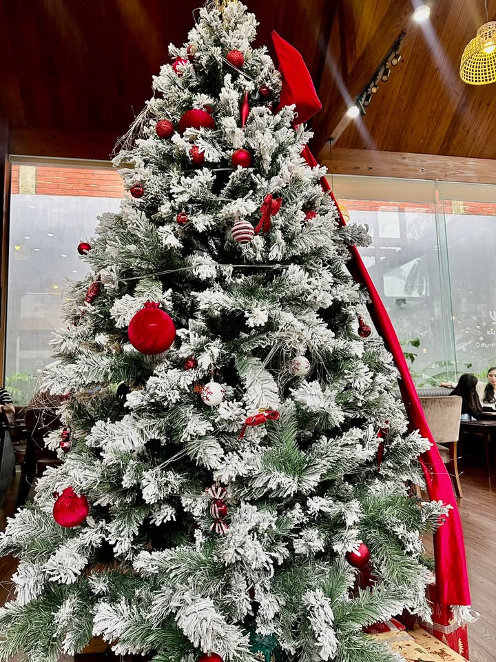 Đất nền mặt đường Nguyễn Xuân Nhĩ, 165m² giá 620 triệu - Cơ hội đầu tư hấp dẫn!