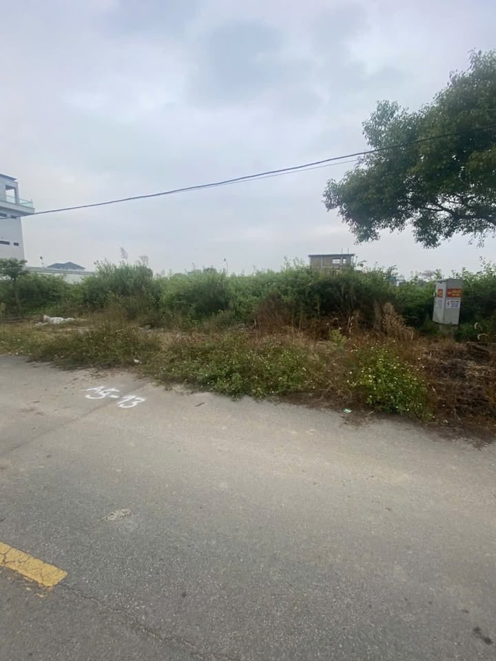 Biệt thự Kim Sơn Đông Triều 300m² giá 12.3 tỷ - Đẹp không tỳ vết!