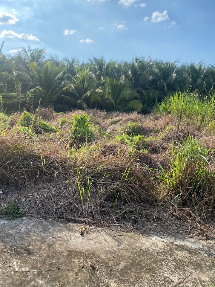 Đất nền Long Hòa A, Đạo Thạnh 110m² giá 1.25 tỷ - Đầu tư sinh lời ngay!