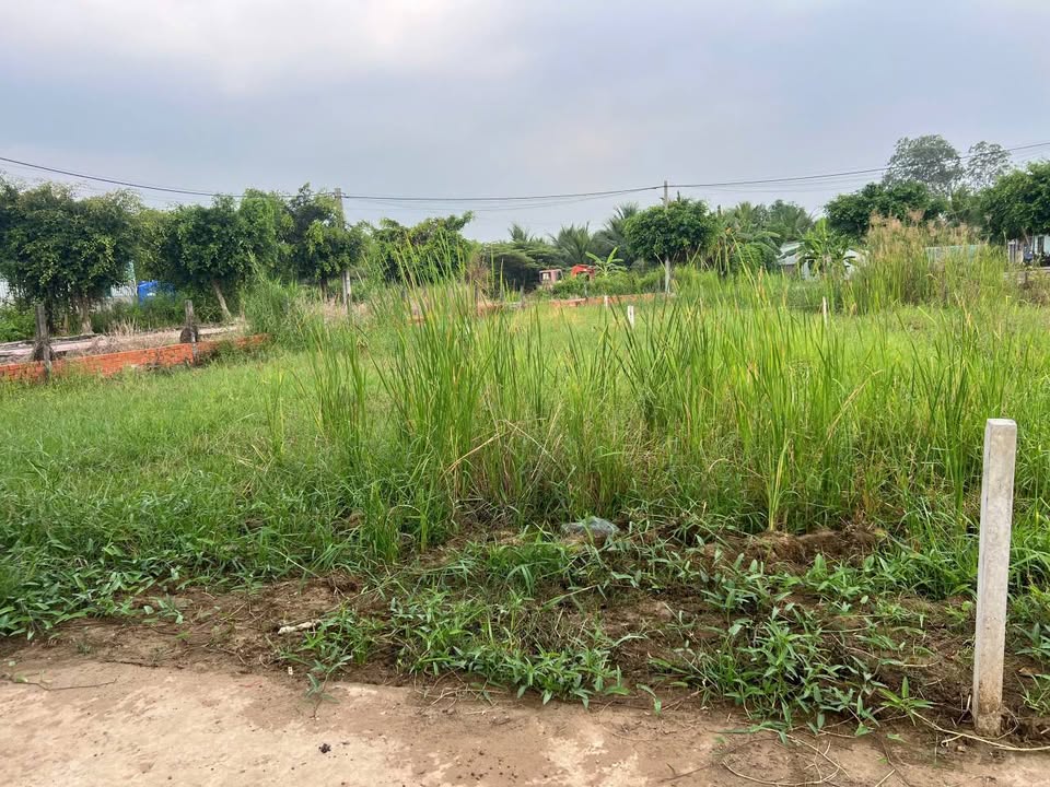 Đất nền Tân Mỹ Chánh, Mỹ Tho 80m² giá chỉ 470 triệu - Cơ hội đầu tư không thể bỏ lỡ!