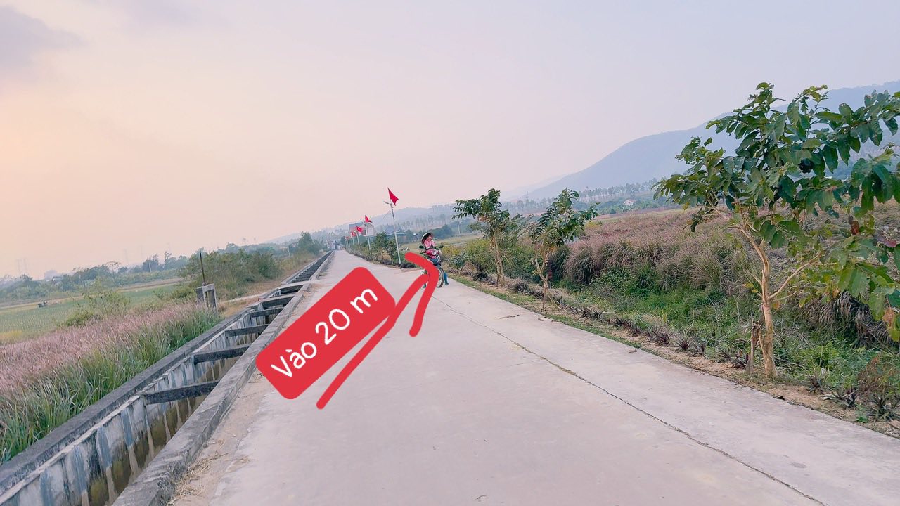 Đất trồng cây lâu năm An Sinh Đông Triều 1331m² giá chỉ 400 triệu - Đầu tư sinh lời ngay!