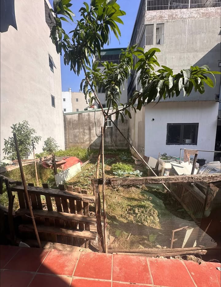 Đất nền Hậu Ái, Vân Canh 43m² giá 5 tỷ - Sổ đỏ chính chủ, xây dựng tự do!