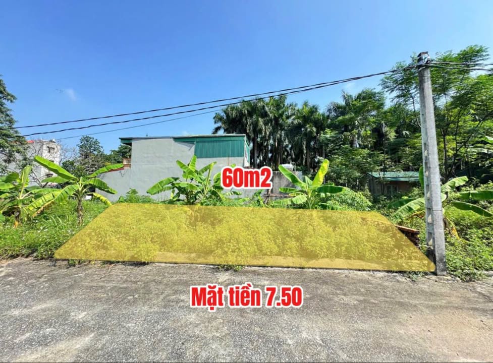 Đất nền mặt tiền Tỉnh lộ 420, Bình Yên, 60m² giá 3 tỷ - Cơ hội đầu tư sinh lời!