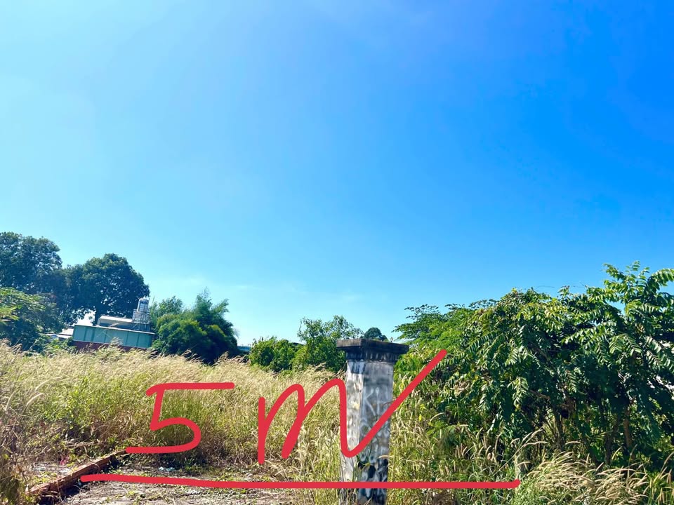 Đất thổ cư Trần Phú, Hoà Thành 140m² giá 800 triệu - Bán gấp cần tiền!