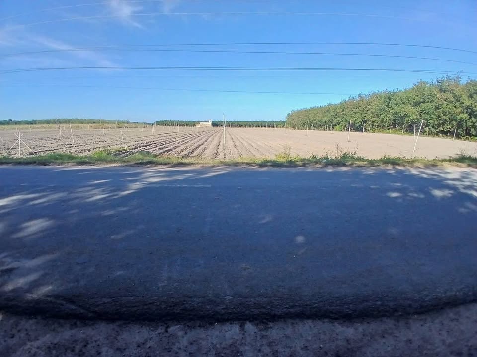 Đất nền Tân Hội 10.000m² giá 1.6 tỷ - Cơ hội đầu tư sinh lời!