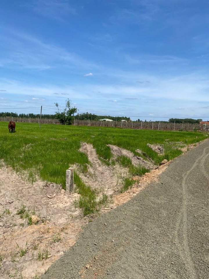 Đất nền Thạnh Lợi, Bình Minh 2040m² giá 3.15 tỷ - Hướng Đông, view núi tuyệt đẹp!