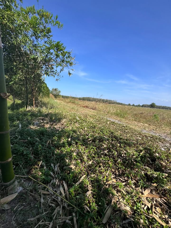 Đất Ninh Thạnh, Tây Ninh 6.800m² giá 3.5 tỷ - Địa điểm lý tưởng cho nghỉ dưỡng