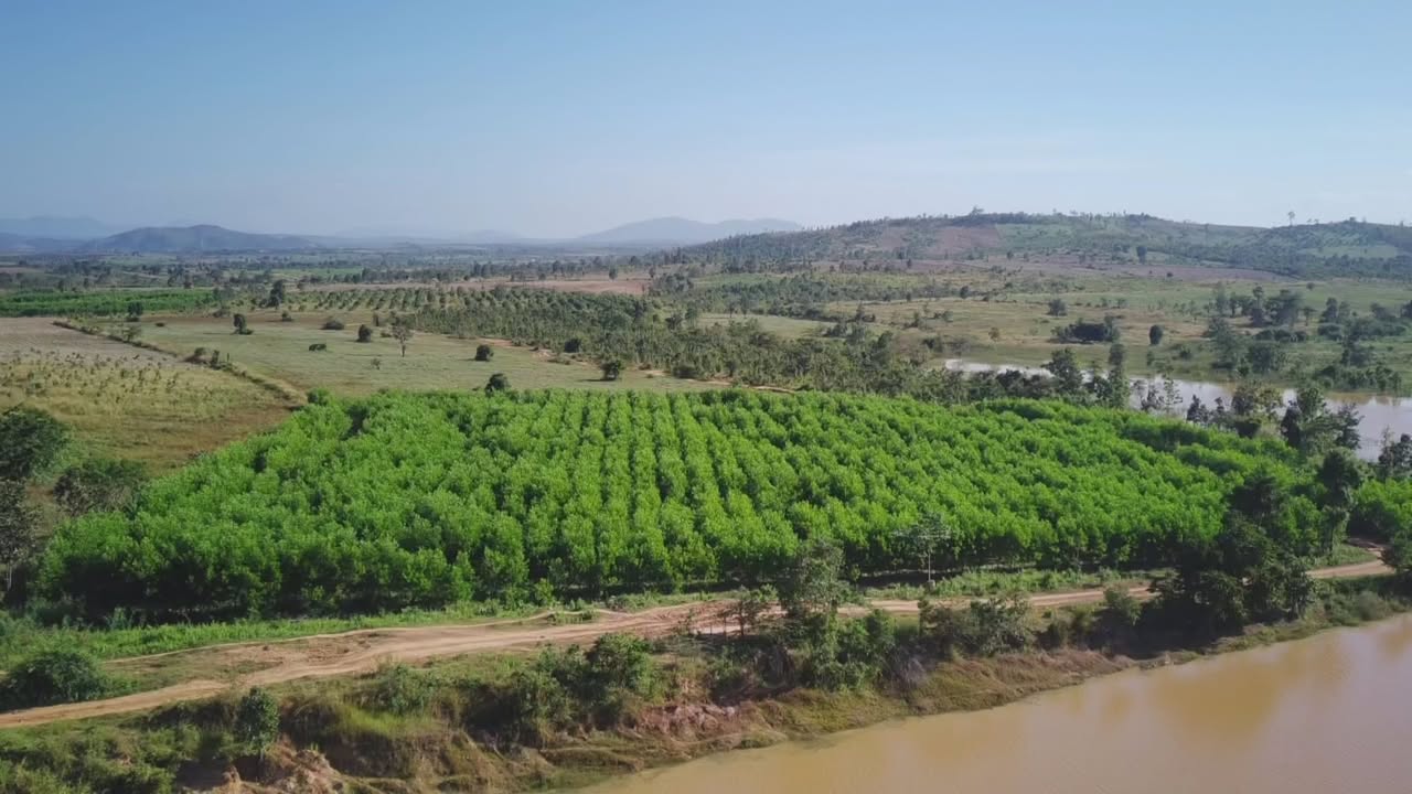 Đất nền 2ha tại xã Ea Súp, Đắk Lắk giá chỉ 300 triệu - Tiềm năng đầu tư lớn!