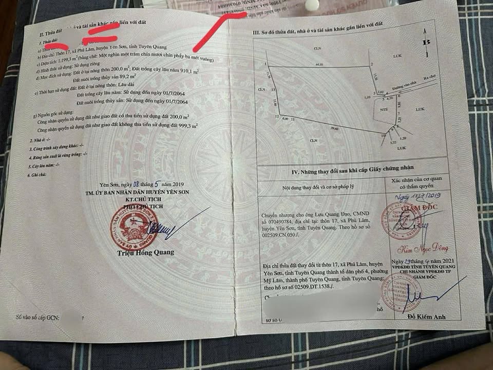 Đất nền đẹp tại Mỹ Lâm, Tuyên Quang 2000m² - Tiềm năng tăng giá cao!