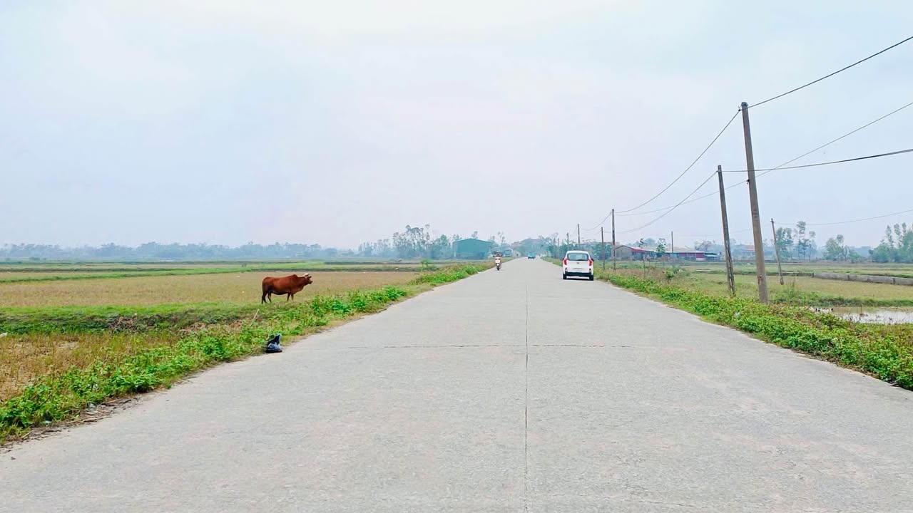 Đất Kinh Doanh Tỉnh Lộ 27 Thạch Lạc 105m² giá 2.2 tỷ - Cơ hội đầu tư hiếm có!