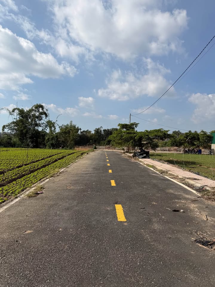 Đất nền Phú Hội - Đức Trọng 140m² giá 950 triệu - Đường nhựa ô tô vào tận nơi!