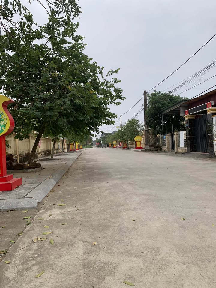 Đất nền Liên Lộc Hậu Lộc 187m² giá thỏa thuận - Vị trí đẹp ngay cổng uỷ ban!