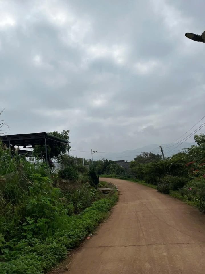 Đất thổ cư xã Quảng Lập 300m² giá 610 triệu - Cơ hội đầu tư tuyệt vời!