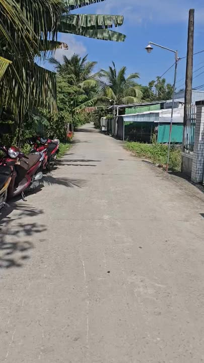 Đất thổ cư Trường Xuân B, Thới Lai 20.000m² giá 6.2 tỷ - Cơ hội đầu tư tuyệt vời!