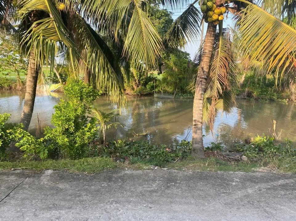 Đất nền Thị Trấn Cờ Đỏ 617m² giá 92.55 tỷ - Sổ hồng riêng, thương lượng