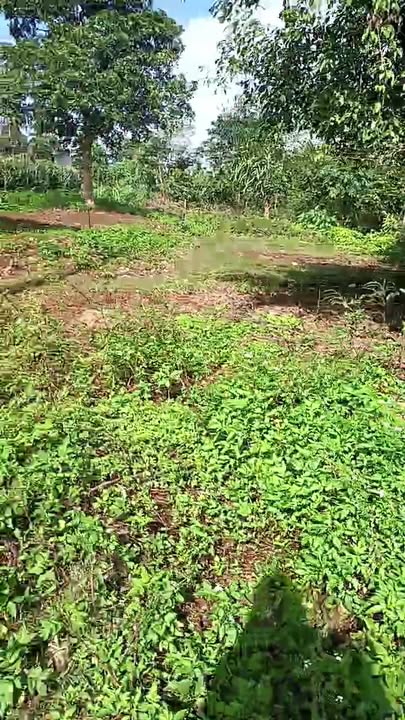 Đất thổ cư 120m² tại Buôn Hồ - Giá rẻ, pháp lý rõ ràng!