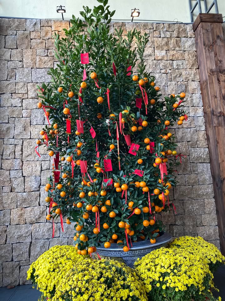 Đất nền Điện Nam Trung 112m² giá 2.4 tỷ - Vị trí đắc địa, kinh doanh sầm uất!