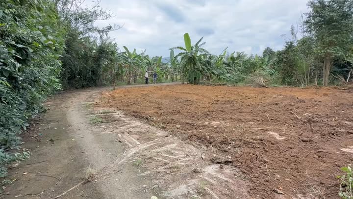 Đất nền lô góc Hòa Nhơn Đà Nẵng 184m² giá 1.1 tỷ - Đầu tư sinh lời ngay!