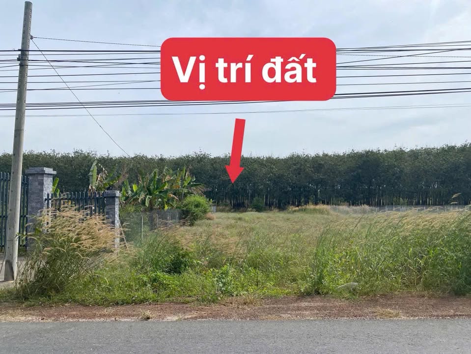 Đất thổ cư Dầu Tiếng 570m² giá 1.616 tỷ - Tiềm năng phát triển cao!