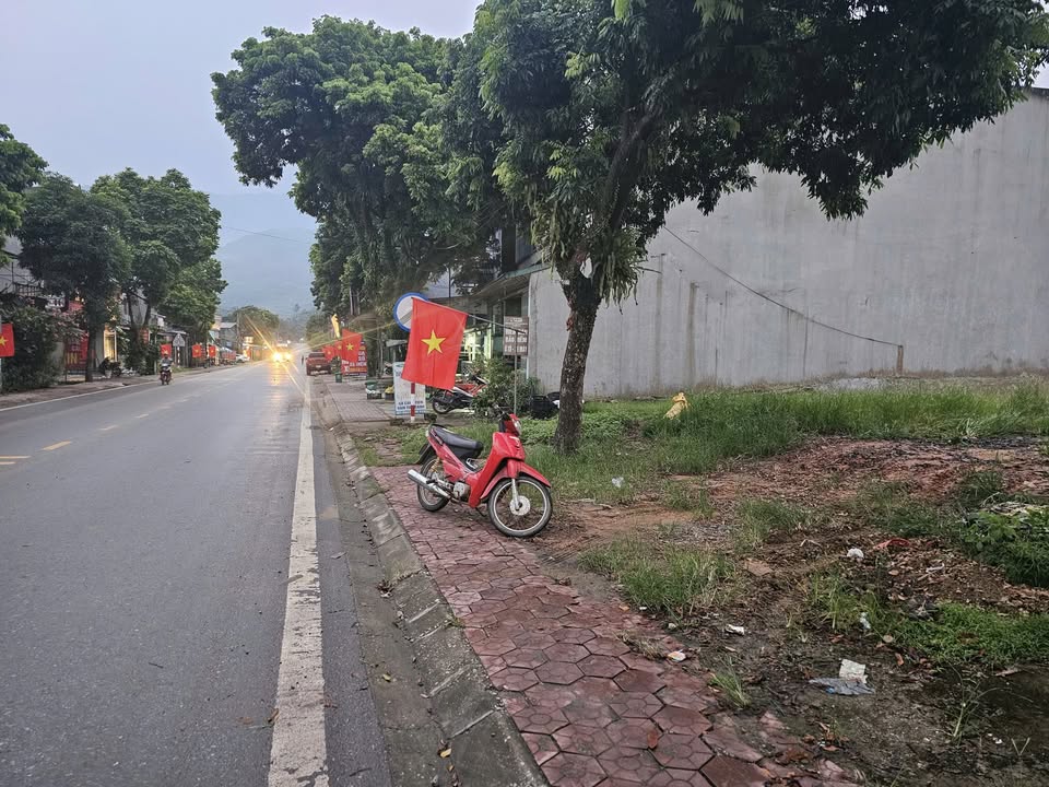 Cho thuê đất mặt tiền Tỉnh Lộ 151, Bảo Thắng, Lào Cai 1200m² - Vị trí kinh doanh đắc địa!