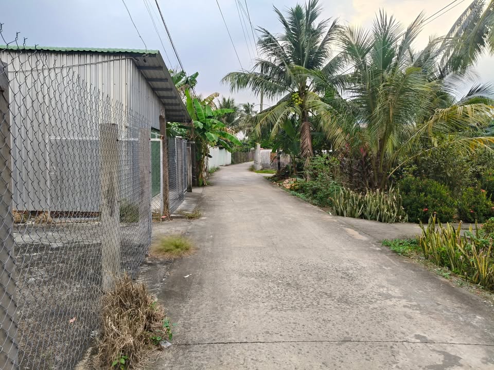 Đất thổ cư 240m² tại Lương Hòa Lạc, Tiền Giang - Giá 1 tỷ, sổ hồng chính chủ!