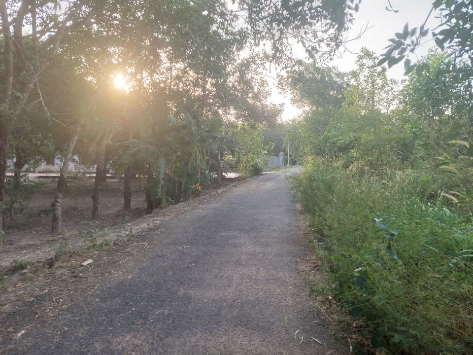 Đất mặt tiền đường nhựa Thạnh Tây, 1900m² giá 19 tỷ - Cơ hội đầu tư tuyệt vời!