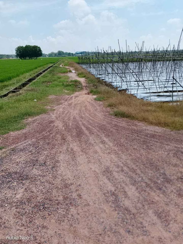 Đất nền An Nhơn Tây Củ Chi 6242m² giá 6.242 tỷ - Thích hợp làm nhà vườn hoặc đầu tư!