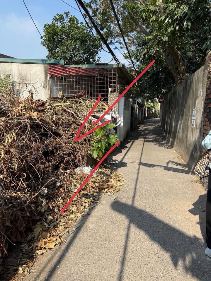 Lô đất Giang Biên 62m² giá 4 tỷ - Đường ô tô thông thoáng, sổ đỏ sẵn!