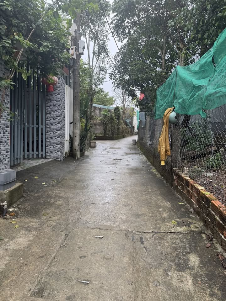 Đất nền Hòa Thọ Tây 110m² giá 2 tỷ - Vị trí đắc địa ngay chợ!