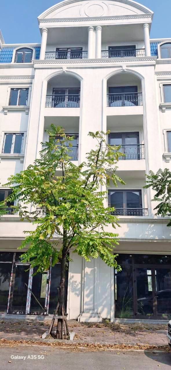 Biệt thự mặt biển Saffabay Cẩm Phả 93.5m² giá 6 tỷ - Cơ hội đầu tư hấp dẫn!