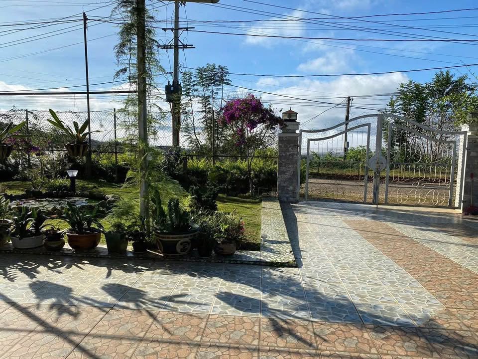 Đất nền phường Xuân Trường, Đà Lạt 1057m² giá 17 tỷ - Săn mây tuyệt đẹp!