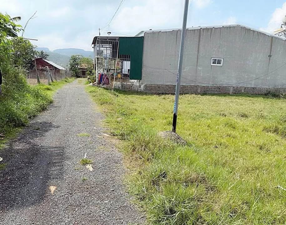 Đất ở nông thôn 115m² tại Hẻm 11 Phú Hội, Đức Trọng, giá 890 triệu - Đầu tư sinh lời!