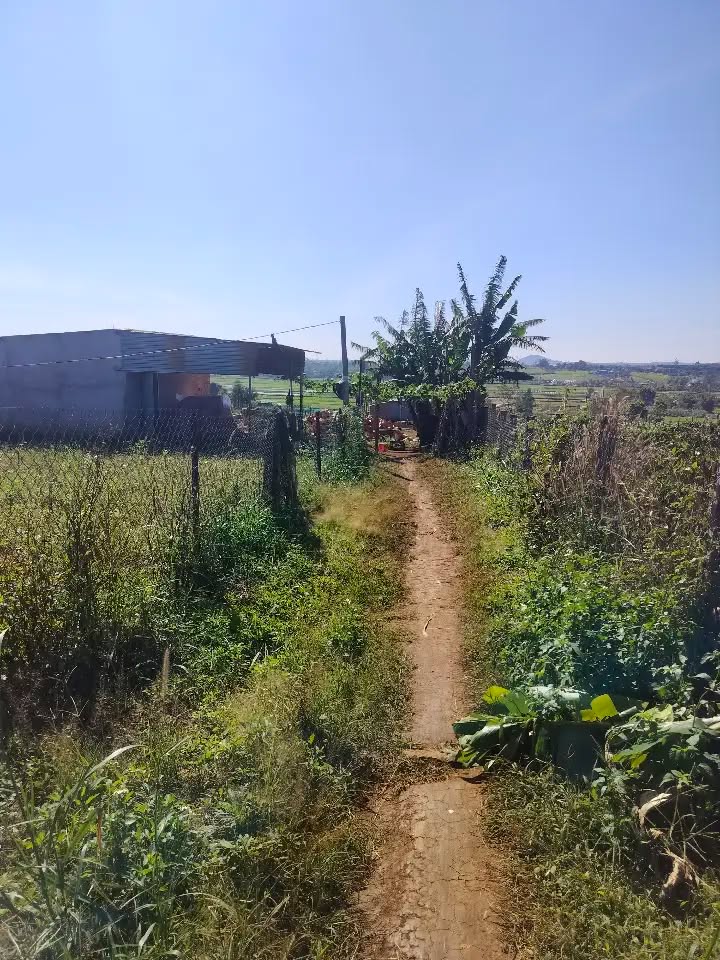 Đất nền Bùi Viện, An Phú, Pleiku 135m² giá chỉ 190 triệu - Cơ hội đầu tư tuyệt vời!