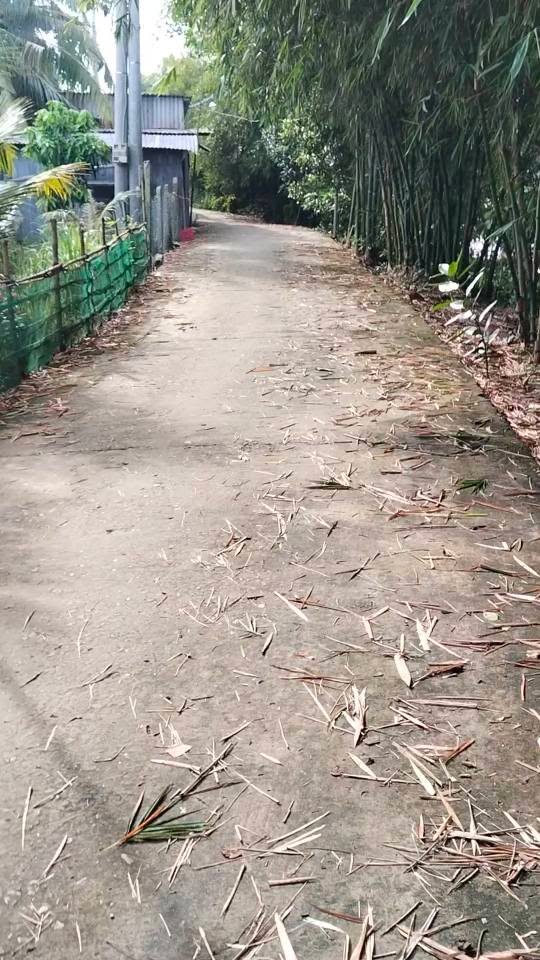 Đất thổ cư 1200m² tại xã Phong Hoà, Lai Vung - Giá chỉ 2.5 tỷ!