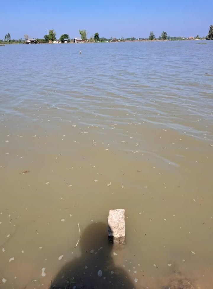 Đất nền xã Bình Thành, Thanh Bình 736m² giá chỉ 290 triệu - Cơ hội đầu tư tuyệt vời!