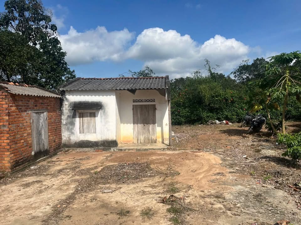 Đất nông nghiệp Cư Ni, Ea Kar 1ha giá chỉ 1.15 tỷ - Đường 70m, thích hợp đầu tư!