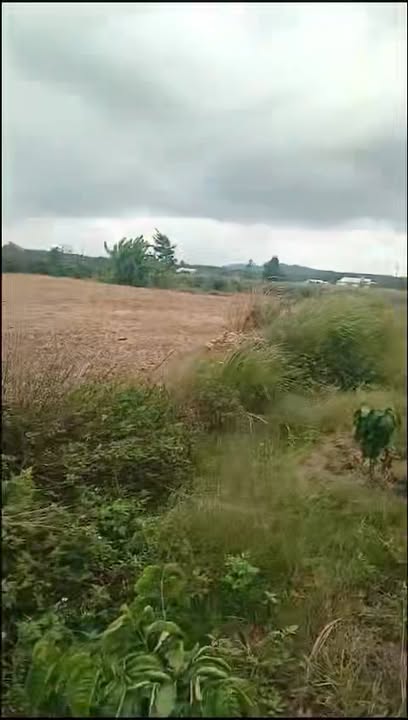 Lô đất Farm tại Cư Ni, Ea Kar 11186m² giá 452.7 triệu - Đầu tư sinh lời ngay!