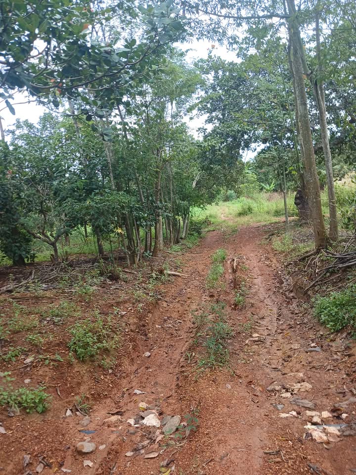 Đất nền xã Suối Rao, Châu Đức 2900m² giá chỉ 450 triệu - Cơ hội đầu tư tuyệt vời!