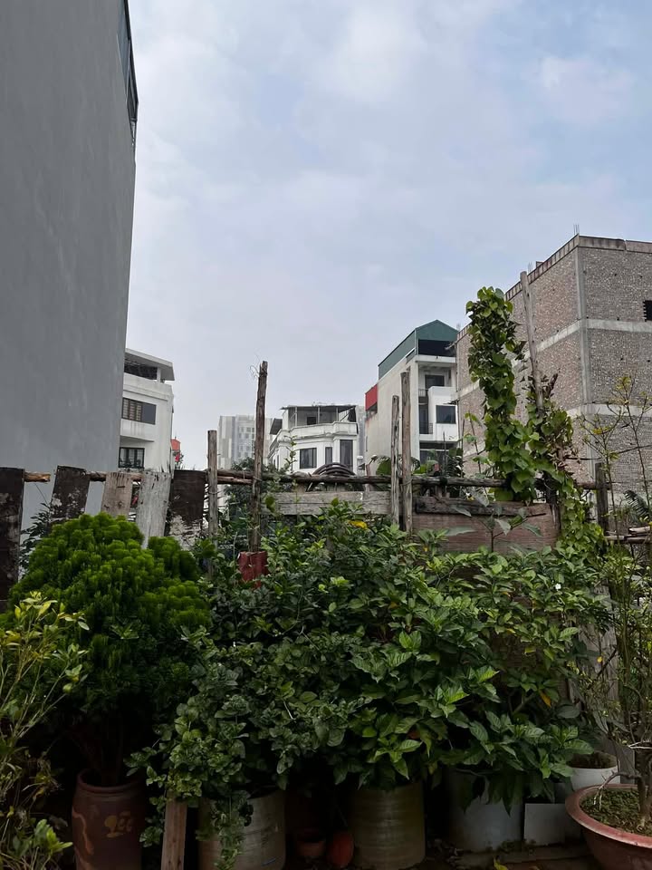 Đất tái định cư Giang Biên, Long Biên 90m² giá 20.7 tỷ - Đường rộng, tiện kinh doanh!