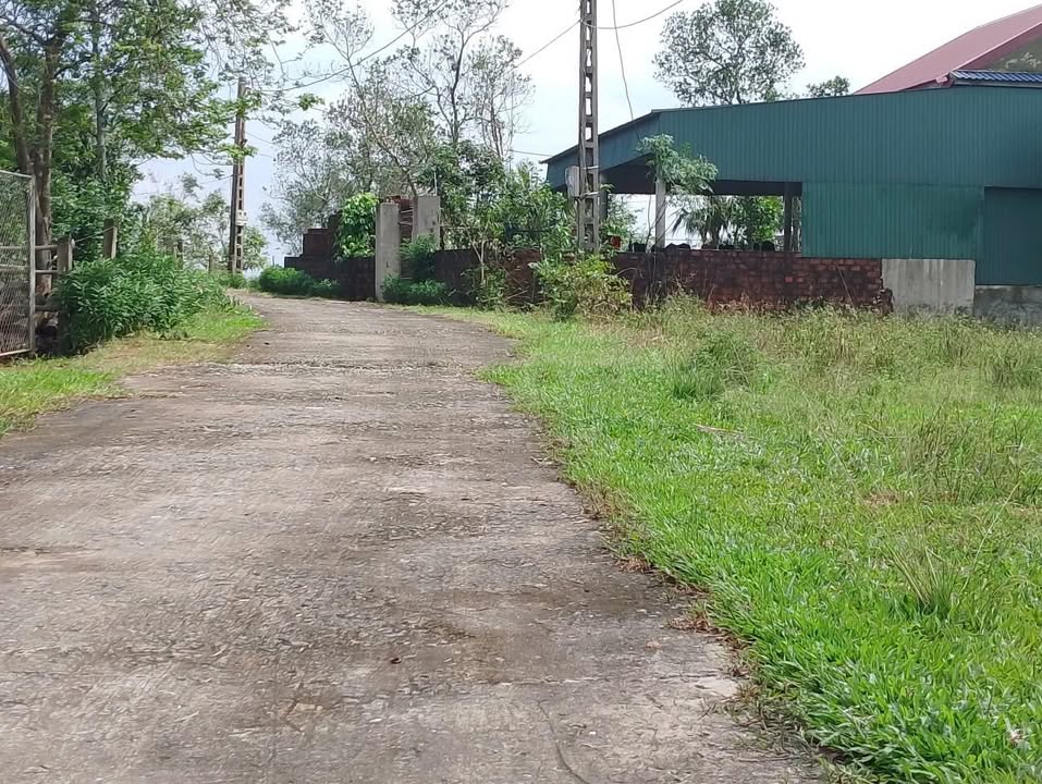 Đất nền Cẩm Quan 714m² giá chỉ 350 triệu - Cơ hội đầu tư hấp dẫn!