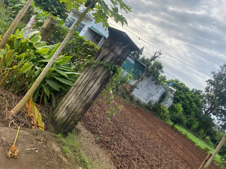 Đất thổ cư Hòa Khánh 324m² giá 990 triệu - Khu dân cư đông đúc, đường lớn