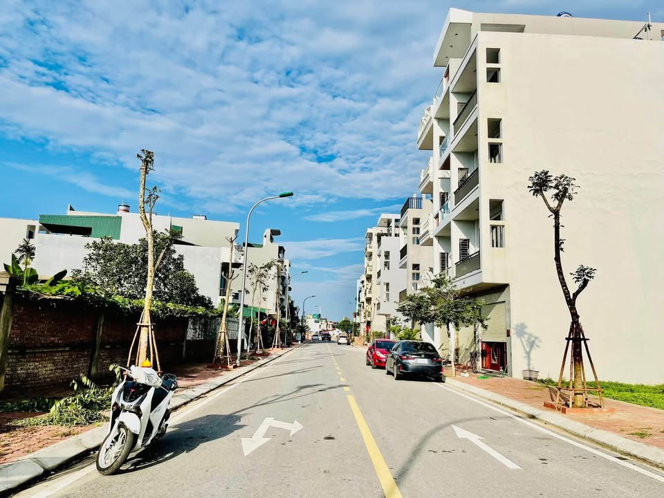 Shophouse mặt phố Hồ Tùng Mậu, Tân Bình, 67.5m² giá 3 tỷ - Cơ hội đầu tư tuyệt vời!